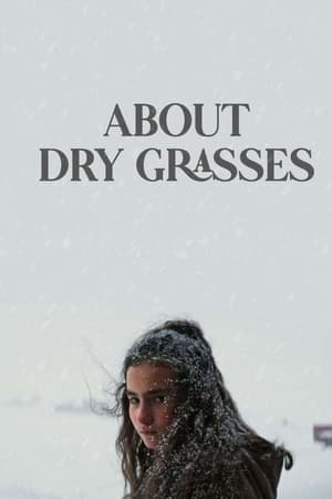 About Dry Grasses