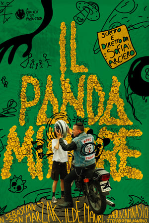 Panda Minore