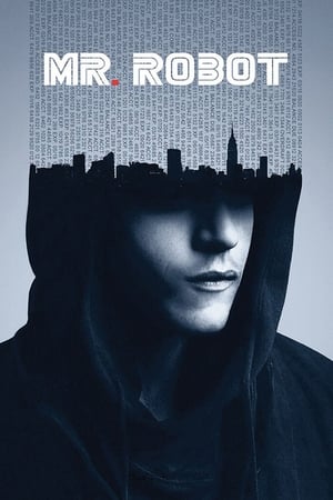 Mr. Robot