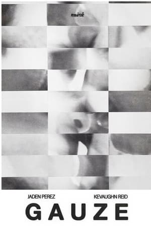 Gauze